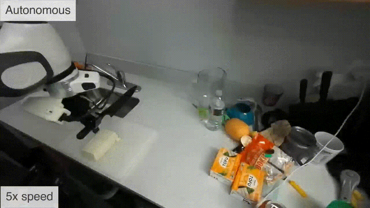 ZeroMimic: Distilling Robotic Manipulation Skills from Web Videos
